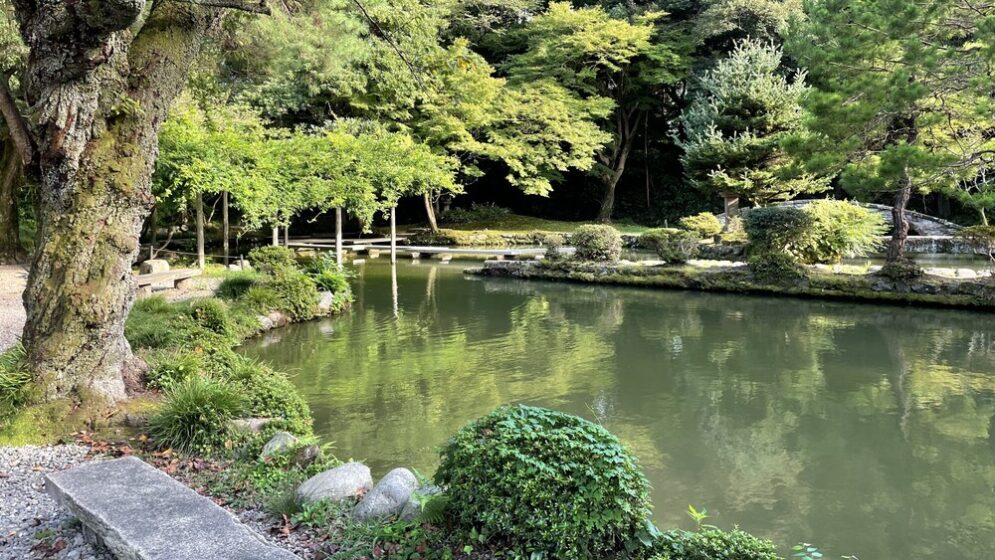 This strolling garden gives us comfort moment