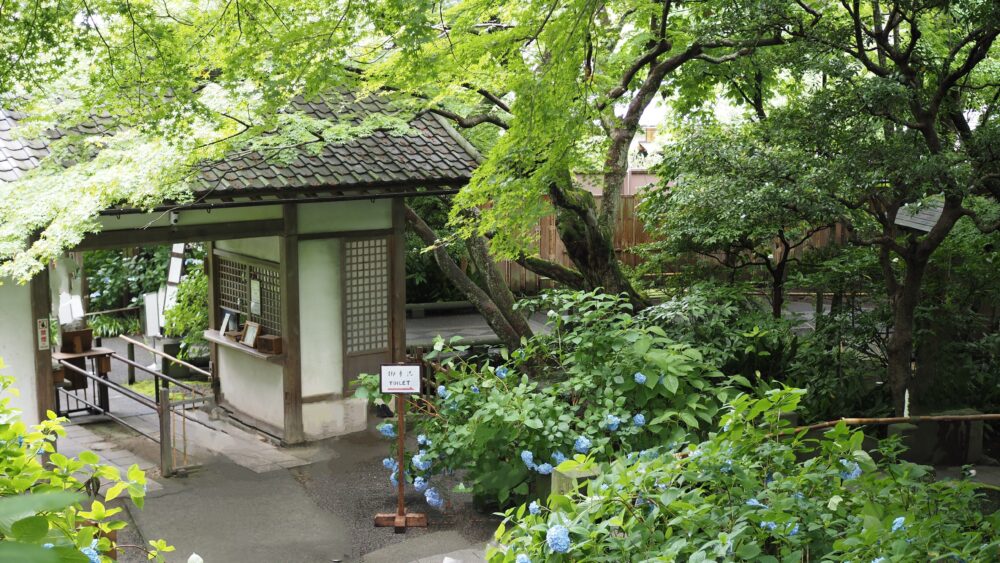 A Silent view of Meigetsuin Temple