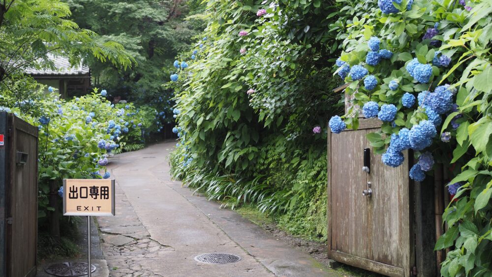 The entrance view of Meigetsuin Temple