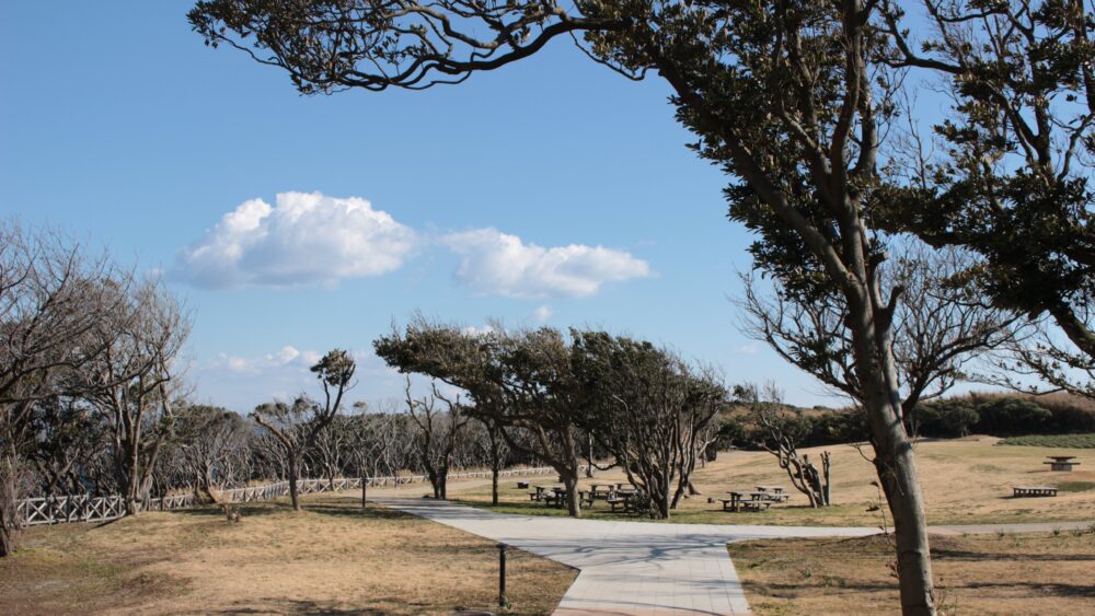 An open field in Jogashima Park