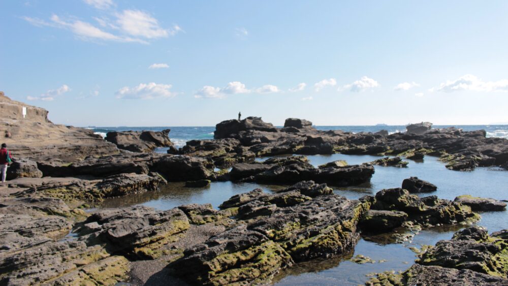 Calm coast of Awasaki