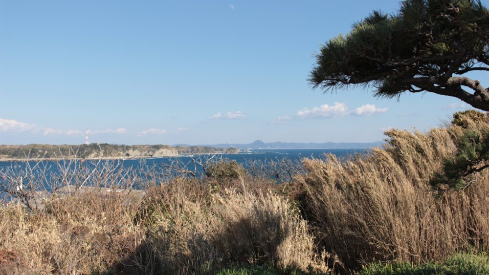 Boso Peninsula is in the distance