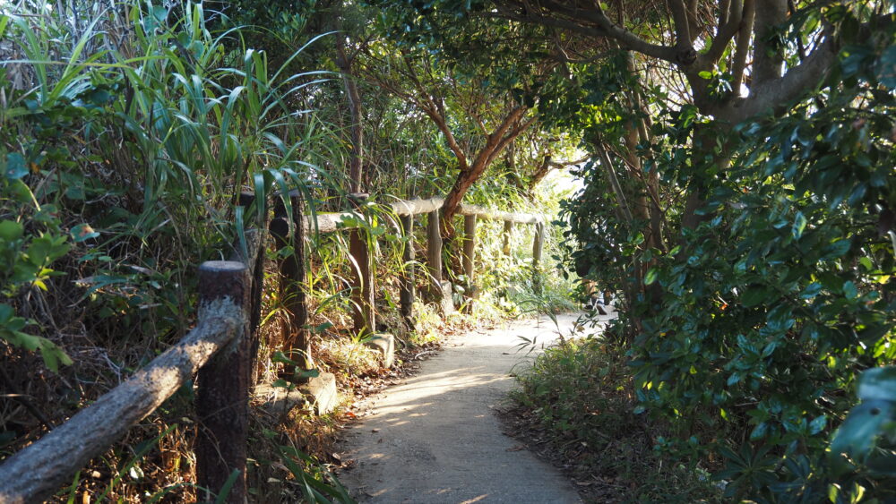 A pavement to Umanose Cliff