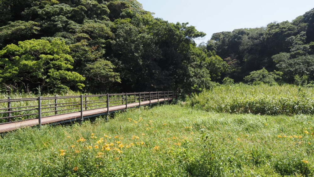 The landscape from Enoki Terrace