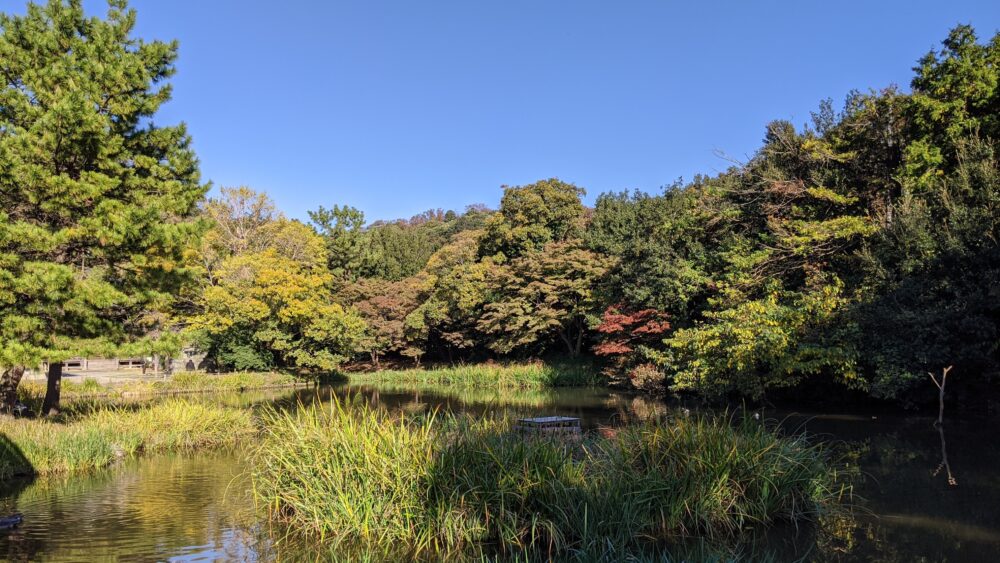 Yokohama is a place full of natural wonders