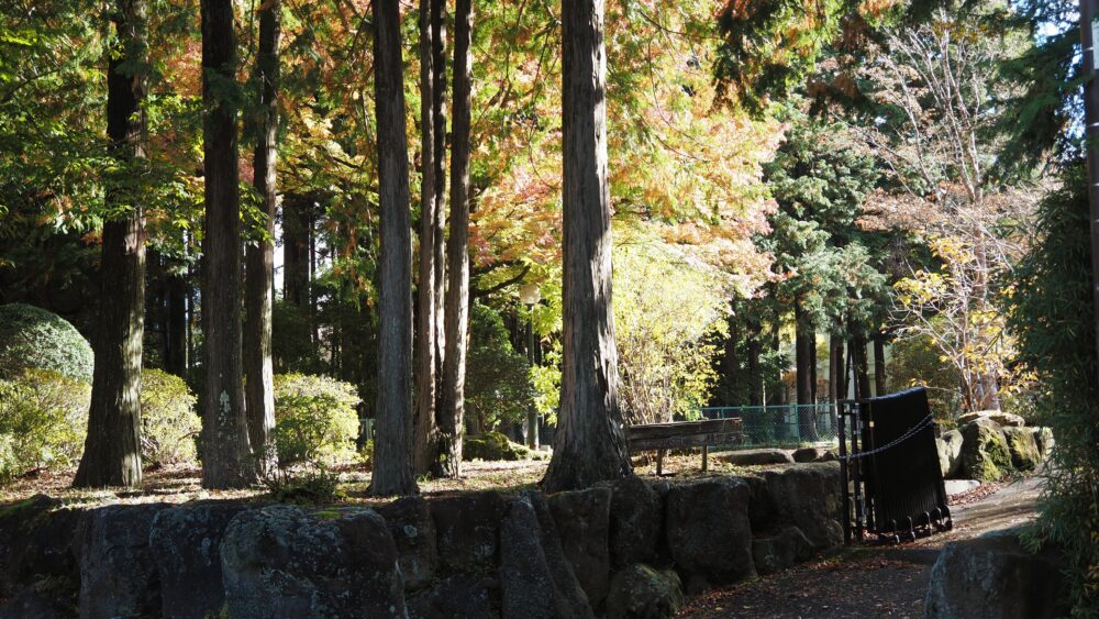 Serene atmosphere of autumn leaves