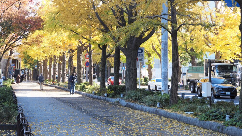 The pavement turns into yellow