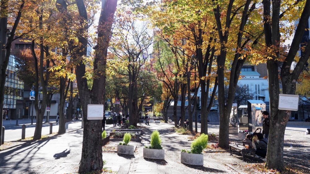 Autumn leaves at a boulevard