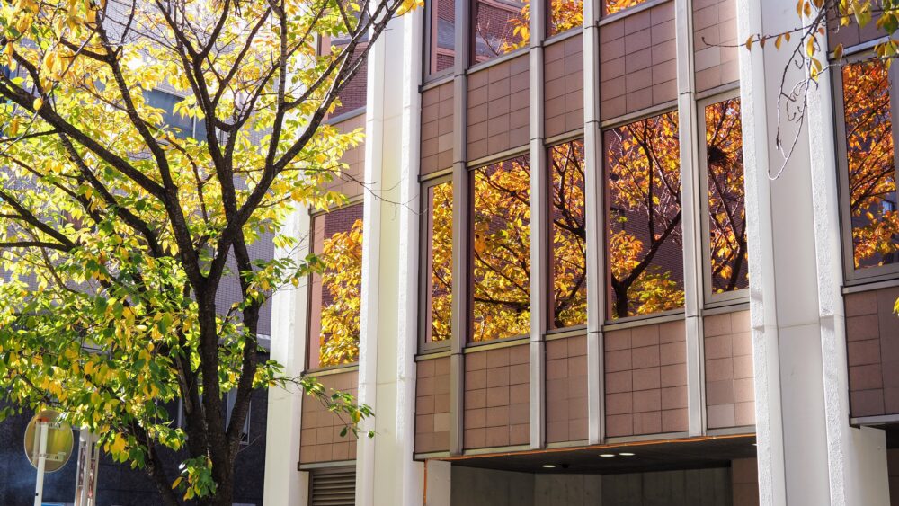 Windows reflect the foliage