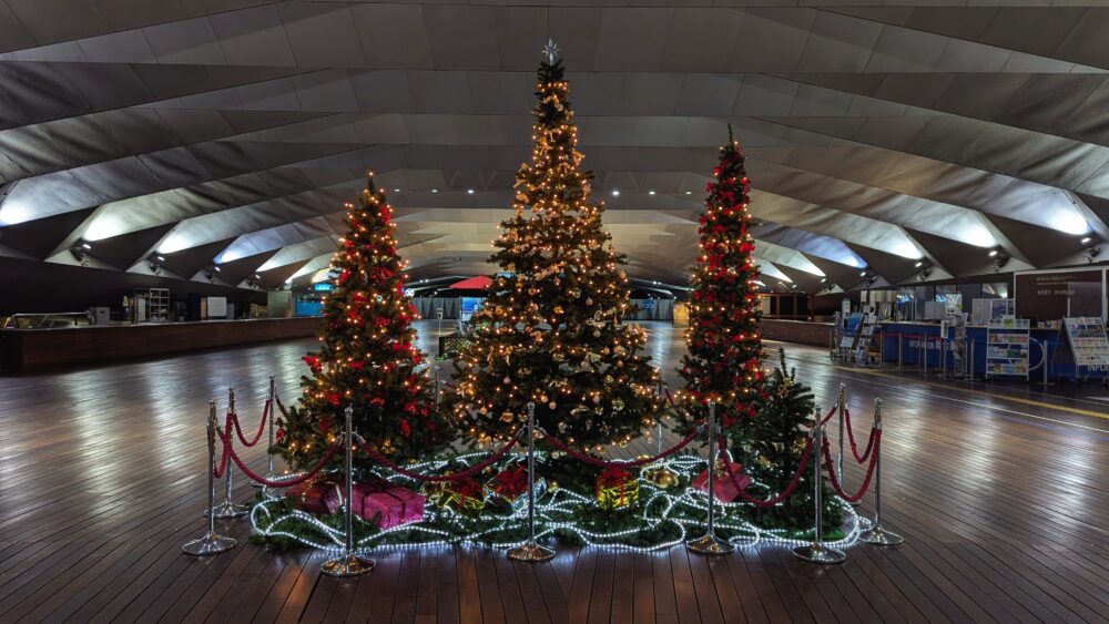 Trees at Osanbashi Pier