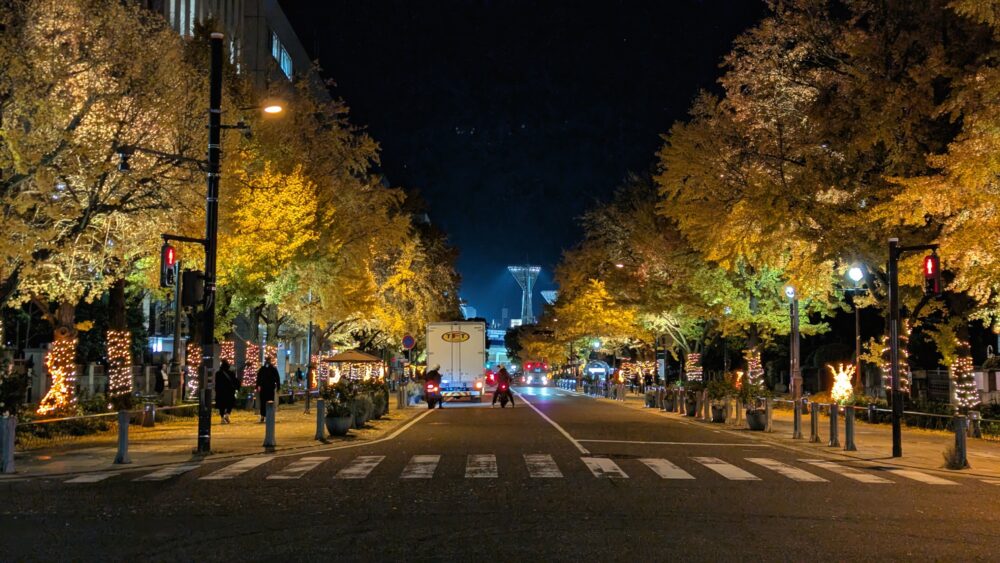 Ginkgo Trees at night