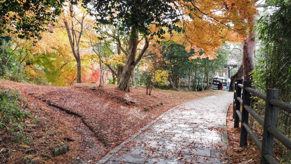 Coloured campus in Fukuura Island